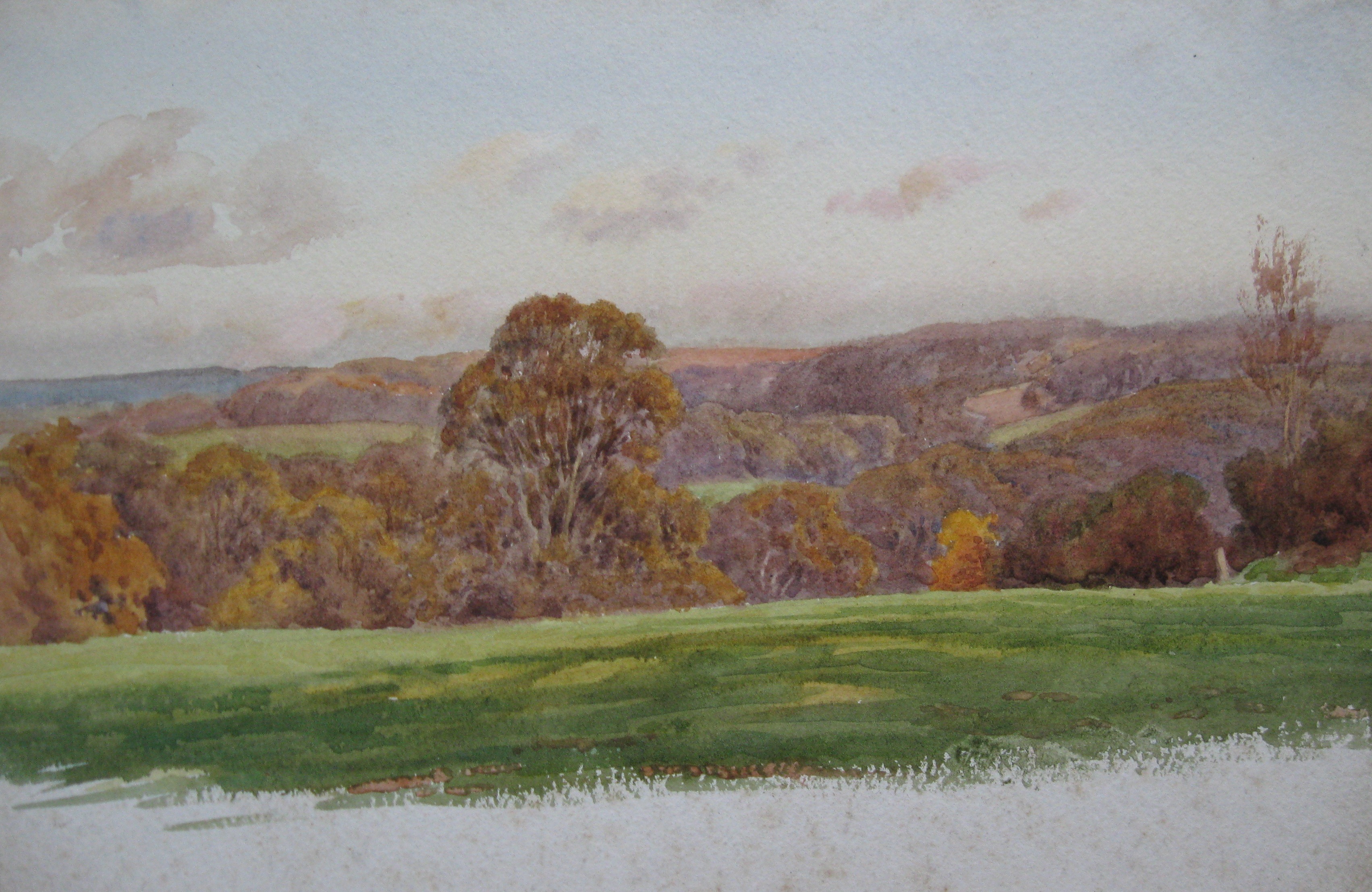 Charles James Adams 03 (Sketch of autumnal trees in a wooded valley)